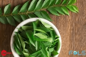 curry leaves