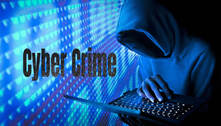 Noida Cyber Crime News