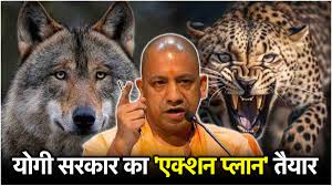 cm yogi