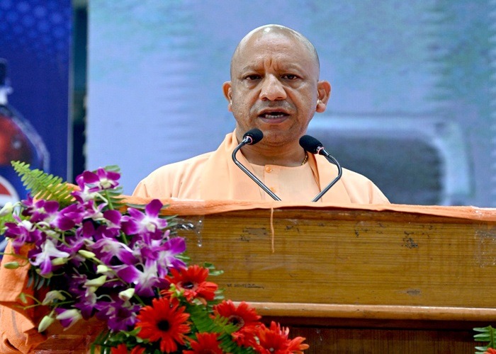 yogi 5