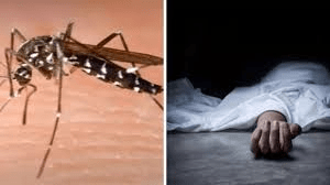 Meerut Dengue News