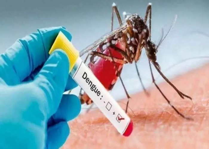 dengue_in_delhi 1