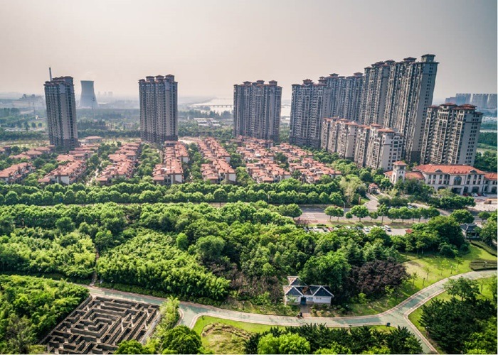 new noida