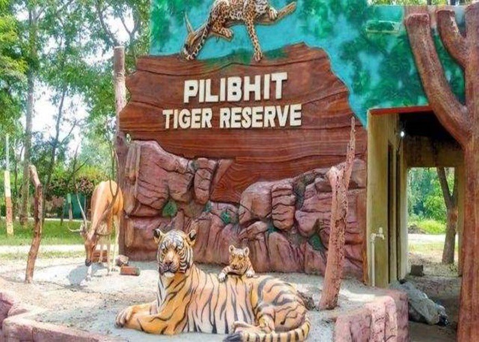पीलीभीत टाइगर रिजर्व