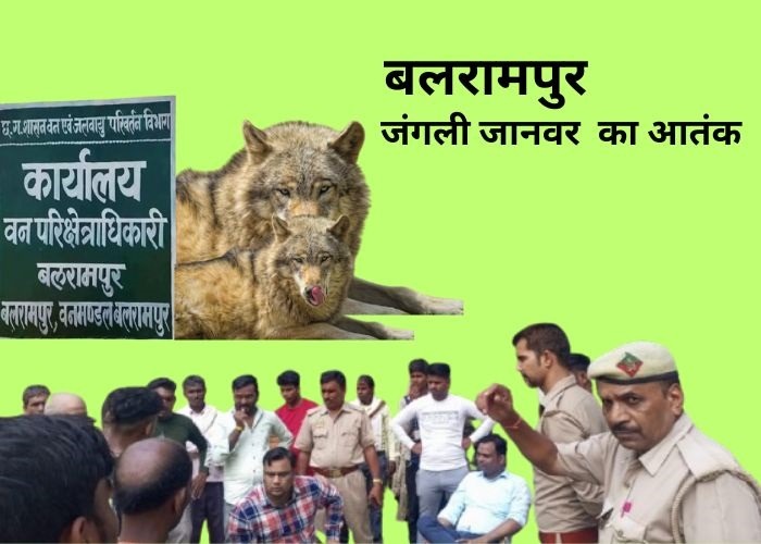 balrampur में जंगली जानवर