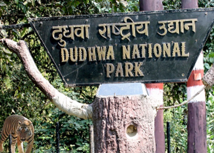 दुधवा राष्ट्रीय उद्यान 2