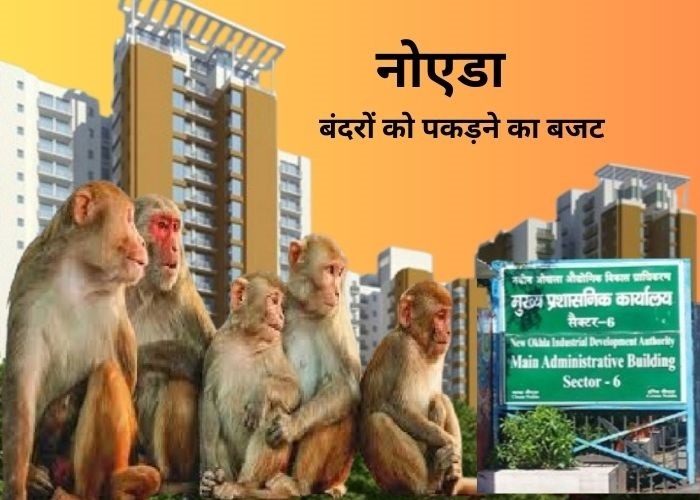 बंदरों को पकड़ने का बजट