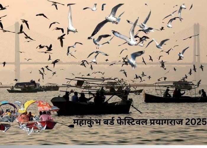 महाकुंभ बर्ड फेस्टिवल प्रयागराज 2025