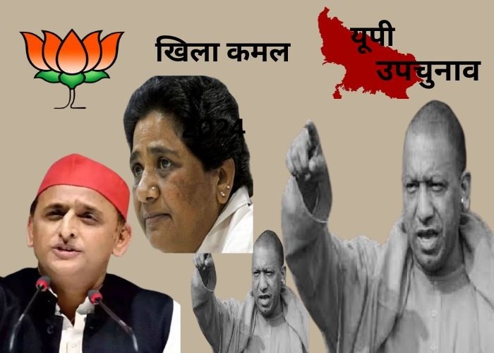 यूपी उपचुनाव रिजल्ट 2024