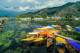 Srinagar News